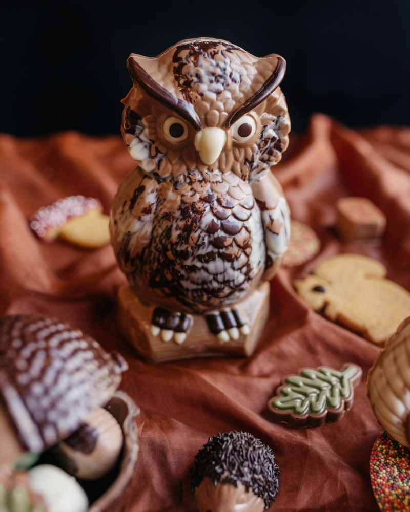 Herfst chocolade