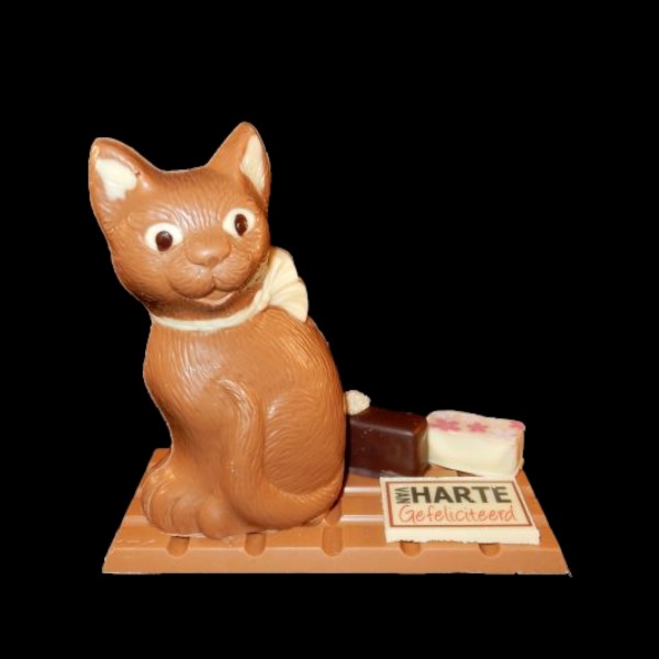 Chocolade kat op reep