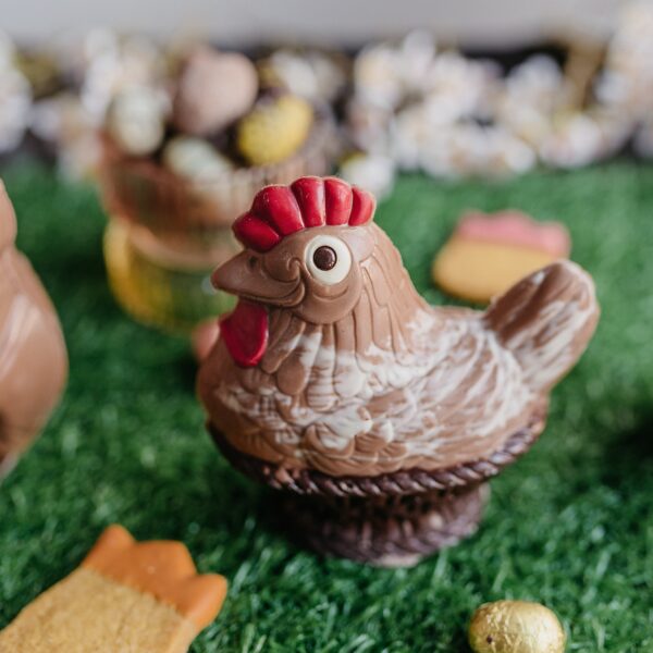 Chocolade kip (klein en groot)