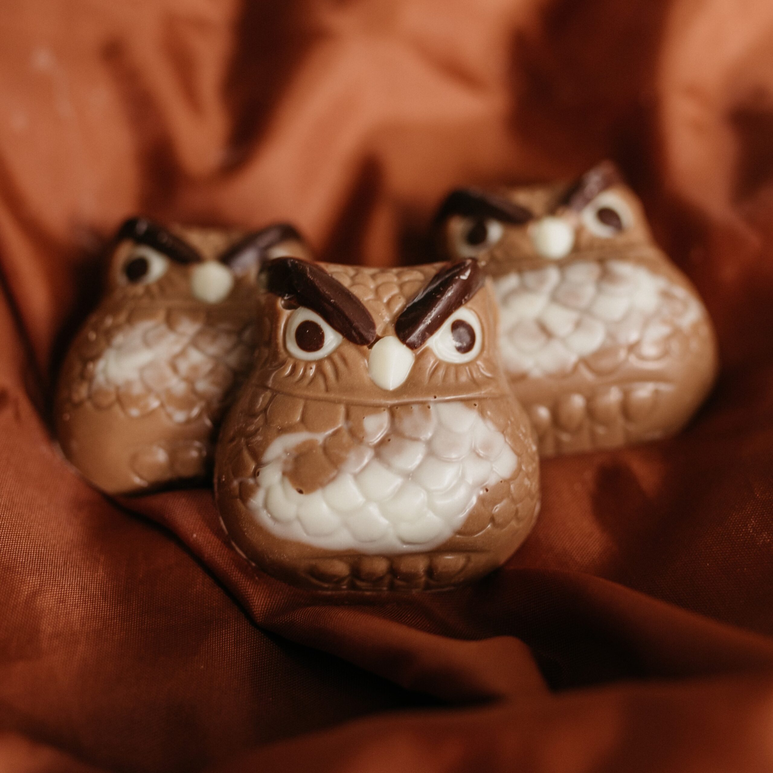 Chocolade uilen