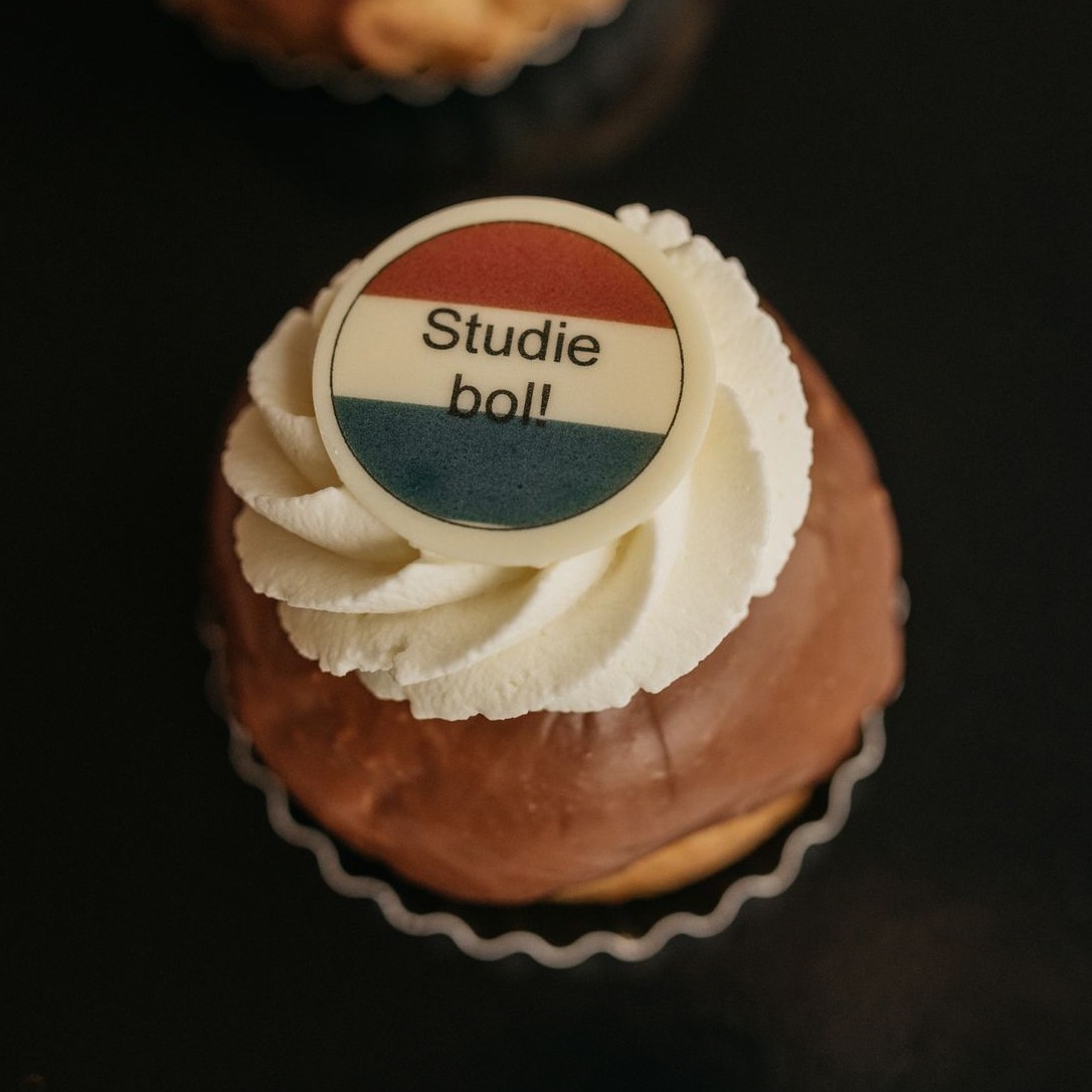 Studiebollen - moorkop